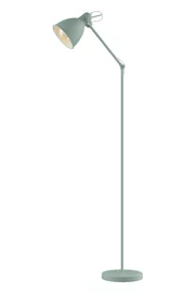   
                        Торшер EGLO  (Австрия) 12857    
                         в стиле Лофт.  
                        Тип источника света: светодиодная лампа, сменная.                                                 Цвета плафонов и подвесок: Зеленый.                         Материал: Сталь.                          фото 1