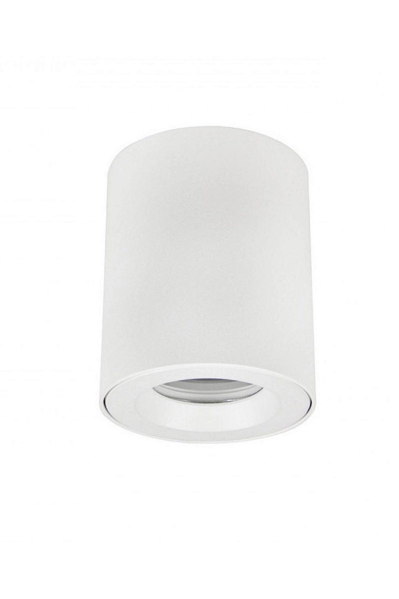   
                        
                        Точковий світильник AZZARDO (Польща) 15452    
                         у стилі Хай-тек.  
                        Тип джерела світла: світлодіодна лампа, змінна.                         Форма: Циліндр.                         Кольори плафонів і підвісок: Білий.                         Матеріал: Алюміній.                          фото 1