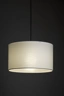   
                        
                        Трековий світильник TK LIGHTING (Польща) 15761    
                         У стилі Модерн.  
                        Тип джерела світла: світлодіодна лампа, змінна.                         Форма: Циліндр.                         Кольори плафонів і підвісок: Білий.                         Матеріал: Метал, Пластик.                          фото 3