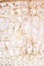  
                        
                        Кришталева люстра MAYTONI (Німеччина) 16116    
                         у стилі Класика.  
                        Тип джерела світла: світлодіодна лампа, змінна.                         Форма: Коло.                         Кольори плафонів і підвісок: Прозорий.                         Матеріал: Кришталь.                          фото 6