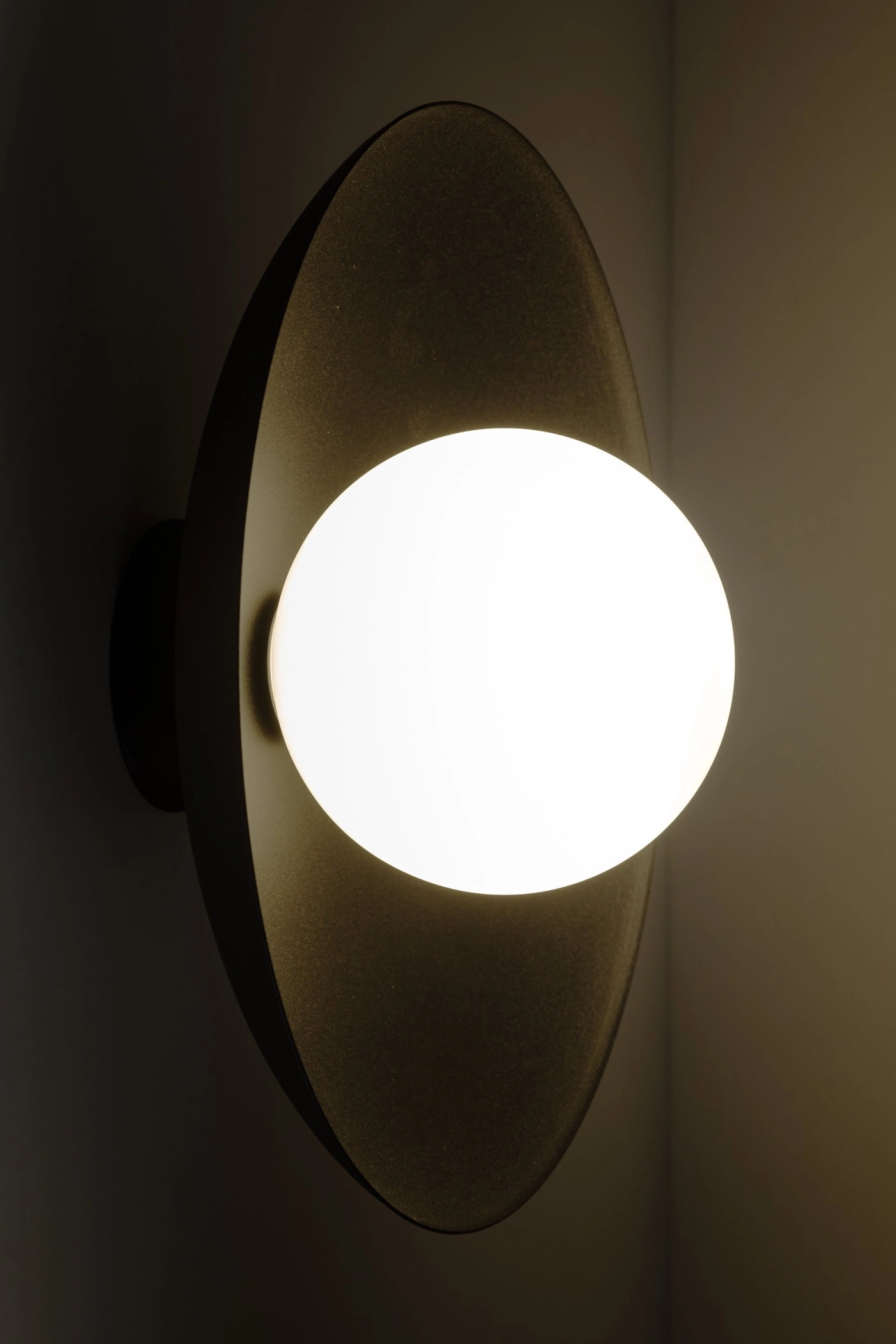   
                        
                        Светильник настенный TK LIGHTING (Польша) 16393    
                         В стиле Модерн, Скандинавский.  
                        Тип источника света: светодиодная лампа, сменная.                         Форма: Круг.                         Цвета плафонов и подвесок: Черный, Белый.                         Материал: Металл, Стекло.                          фото 6