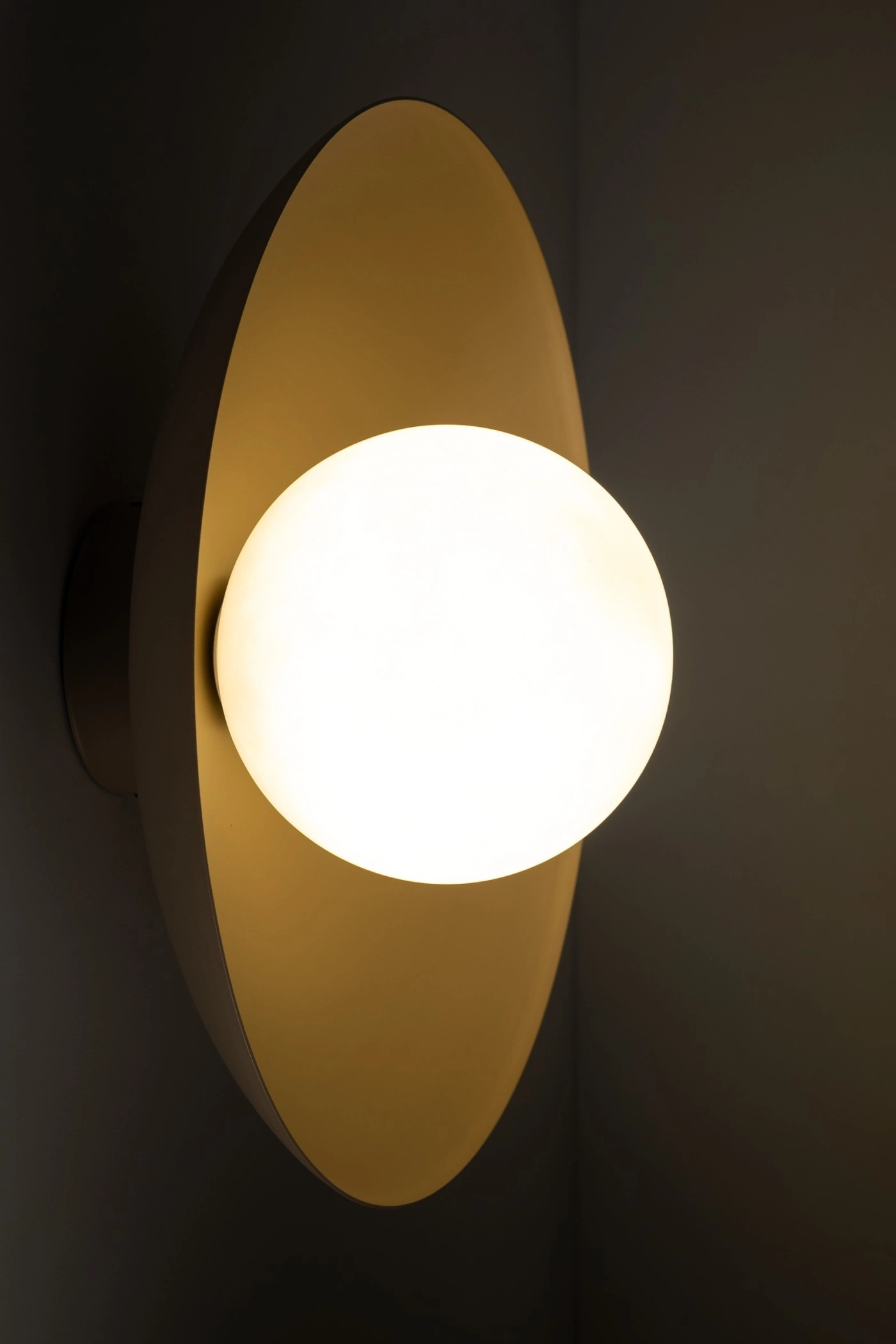   
                        
                        Светильник настенный TK LIGHTING (Польша) 16438    
                         В стиле Модерн, Скандинавский.  
                        Тип источника света: светодиодная лампа, сменная.                         Форма: Круг.                         Цвета плафонов и подвесок: Белый, Бежевый.                         Материал: Металл, Пластик.                          фото 6