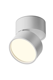 Точковий світильник VASMAR 19039