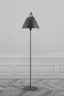  
                        
                        Торшер NORDLUX (Дания) 22559    
                         в стиле Лофт.  
                        Тип источника света: светодиодная лампа, сменная.                                                 Цвета плафонов и подвесок: Черный, Бежевый.                         Материал: Металл, Кожа.                          фото 3