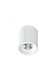   
                        Точковий світильник AZZARDO (Польща) 23990    
                         у стилі скандинавський.  
                        Тип джерела світла: вбудовані світлодіоди led.                         Форма: циліндр.                         Кольори плафонів і підвісок: білий.                         Матеріал: алюміній.                          фото 1