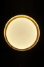   
                        
                        Світильник стельовий GOLDLUX (Польща) 24954    
                         У стилі Модерн.  
                        Тип джерела світла: вбудований led-модуль, незмінний.                         Форма: Циліндр.                         Кольори плафонів і підвісок: Сірий, Золото, Білий.                         Матеріал: Пластик.                          фото 8