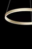   
                        
                        Люстра MAYTONI (Германия) 29172    
                         в стиле Хай-тек.  
                        Тип источника света: встроенный led-модуль, несъемный.                         Форма: Круг.                         Цвета плафонов и подвесок: Латунь.                         Материал: Алюминий.                          фото 4