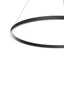   
                        Люстра MAYTONI  (Германия) 29177    
                         в стиле Хай-тек.  
                        Тип источника света: встроенный led-модуль, несъемный.                         Форма: Круг.                         Цвета плафонов и подвесок: Черный.                         Материал: Алюминий.                          фото 2