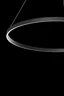   
                        Люстра MAYTONI  (Германия) 29177    
                         в стиле Хай-тек.  
                        Тип источника света: встроенный led-модуль, несъемный.                         Форма: Круг.                         Цвета плафонов и подвесок: Черный.                         Материал: Алюминий.                          фото 4