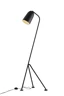   
                        
                        Торшер NB LIGHT (Україна) 29655    
                         у стилі Лофт.  
                        Тип джерела світла: світлодіодна лампа, змінна.                                                 Кольори плафонів і підвісок: Чорний, Білий.                         Матеріал: Метал.                          фото 2