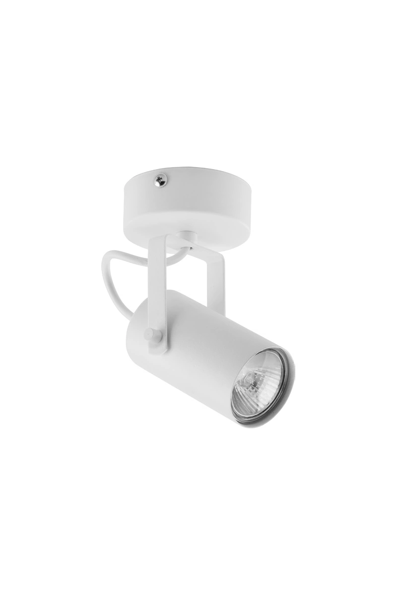   
                        
                        Точковий світильник TK LIGHTING (Польща) 29733    
                         У стилі Хай-тек.  
                        Тип джерела світла: світлодіодна лампа, змінна.                         Форма: Коло.                         Кольори плафонів і підвісок: Білий.                         Матеріал: Метал.                          фото 1