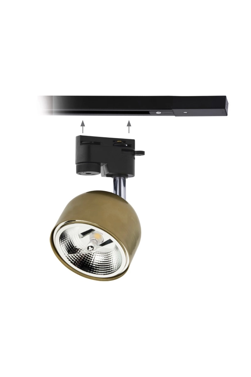   
                        
                        Трековий світильник TK LIGHTING (Польща) 29945    
                         У стилі Лофт.  
                        Тип джерела світла: світлодіодна лампа, змінна.                         Форма: Коло.                         Кольори плафонів і підвісок: Золото.                         Матеріал: Метал.                          фото 2