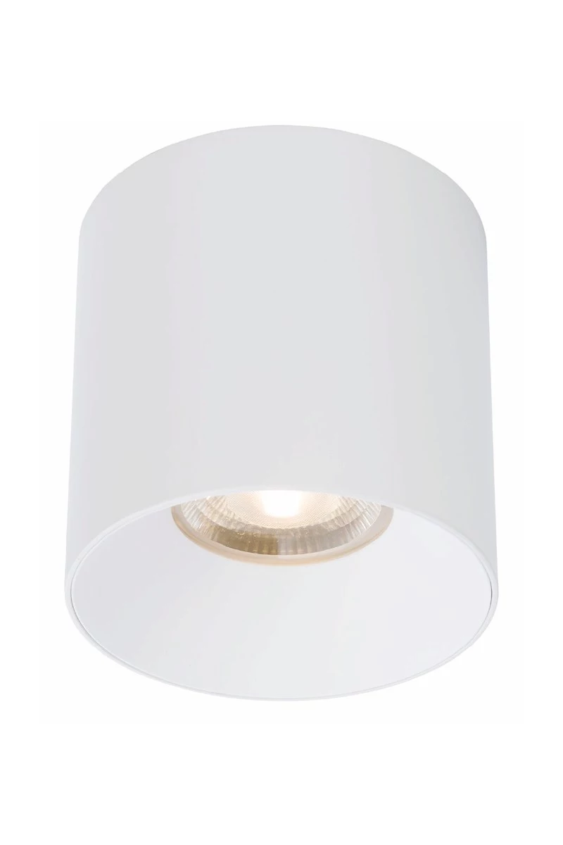   
                        Точковий світильник NOWODVORSKI (Польща) 30348    
                         у стилі хай-тек.  
                        Тип джерела світла: вбудовані світлодіоди led.                         Форма: коло.                         Кольори плафонів і підвісок: білий.                         Матеріал: алюміній.                          фото 1