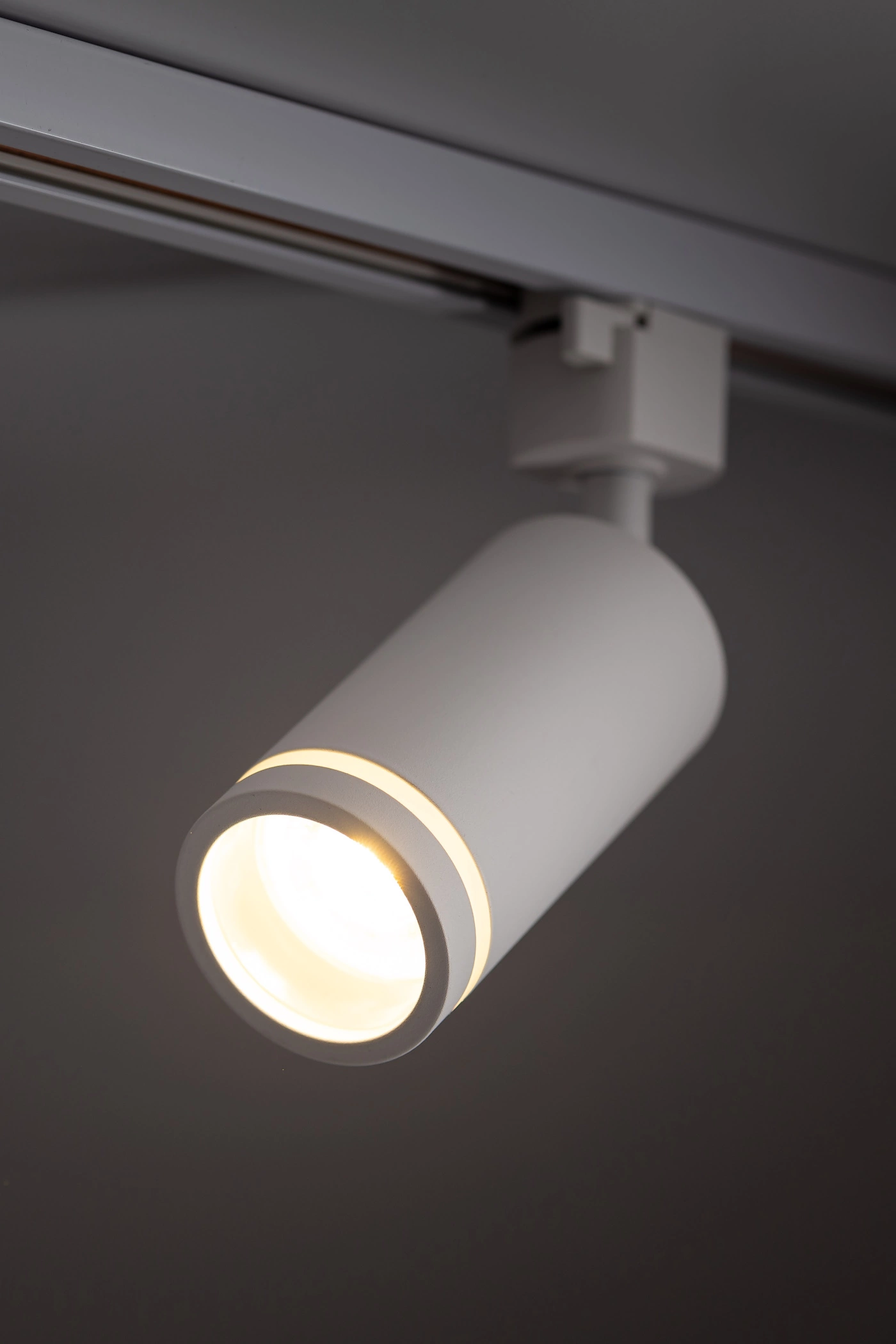   
                        
                        Трековий світильник TK LIGHTING (Польща) 30762    
                         У стилі Хай-тек.  
                        Тип джерела світла: світлодіодна лампа, змінна.                                                 Кольори плафонів і підвісок: Білий.                         Матеріал: Метал.                          фото 2