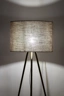   
                        
                        Торшер TK LIGHTING (Польша) 31040    
                         В стиле Скандинавский, Модерн.  
                        Тип источника света: светодиодная лампа, сменная.                                                 Цвета плафонов и подвесок: Коричневый.                         Материал: Ткань, Пластик.                          фото 7