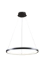   
                        
                        Люстра GOLDLUX (Польша) 32688    
                         В стиле Хай-тек.  
                        Тип источника света: встроенный led-модуль, несъемный.                         Форма: Круг.                         Цвета плафонов и подвесок: Черный, Белый.                         Материал: Алюминий, Пластик.                          фото 2