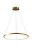   
                        
                        Люстра GOLDLUX (Польша) 32689    
                         В стиле Хай-тек.  
                        Тип источника света: встроенный led-модуль, несъемный.                         Форма: Круг.                         Цвета плафонов и подвесок: Золото, Белый.                         Материал: Алюминий, Силикон.                          фото 2