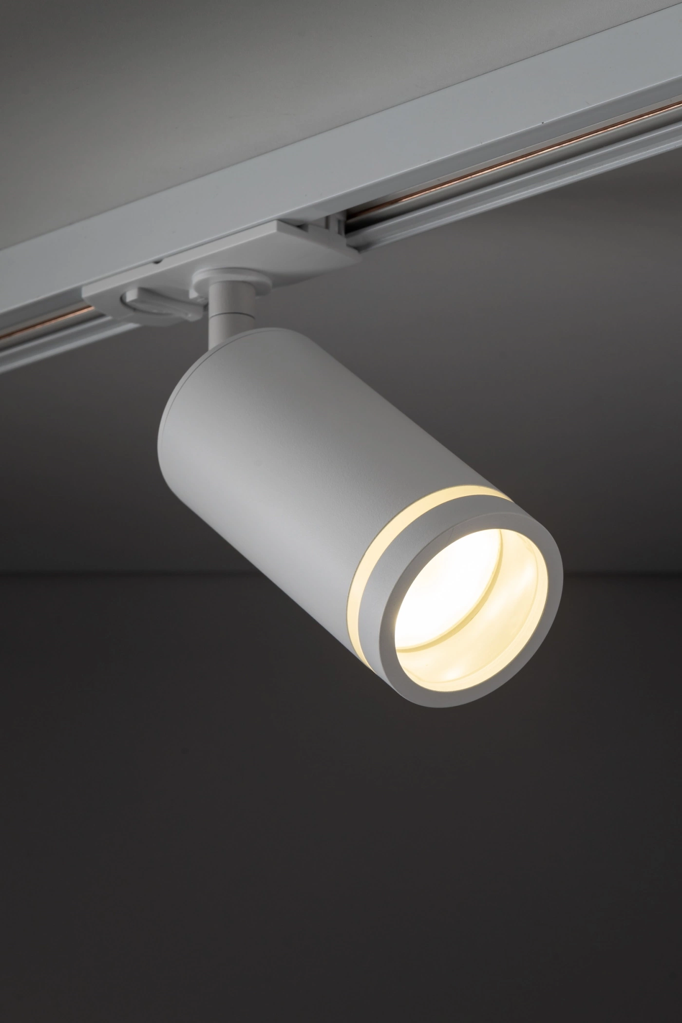   
                        
                        Трековий світильник TK LIGHTING (Польща) 33544    
                         У стилі Хай-тек.  
                        Тип джерела світла: світлодіодна лампа, змінна.                                                 Кольори плафонів і підвісок: Білий.                         Матеріал: Метал, Пластик.                          фото 7