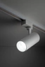   
                        
                        Трековый светильник TK LIGHTING (Польша) 33549    
                         В стиле Хай-тек.  
                        Тип источника света: встроенный led-модуль, несъемный.                                                 Цвета плафонов и подвесок: Белый.                         Материал: Металл, Пластик.                          фото 7