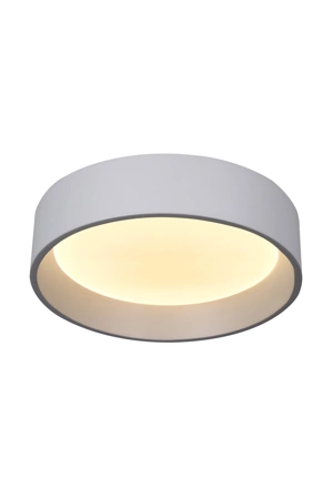 Світильник стельовий LAGUNA LIGHTING 35251
