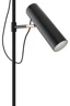   
                        
                        Торшер MAYTONI (Германия) 36078    
                         в стиле Лофт.  
                        Тип источника света: светодиодная лампа, сменная.                                                 Цвета плафонов и подвесок: Черный.                         Материал: Металл.                          фото 2