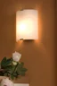   
                        Светильник настенный EGLO  (Австрия) 36210    
                         в стиле Модерн.  
                        Тип источника света: светодиодная лампа, сменная.                                                 Цвета плафонов и подвесок: Белый.                         Материал: Стекло.                          фото 2