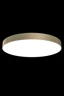   
                        Светильник потолочный MAYTONI  (Германия) 43271    
                         в стиле Модерн.  
                        Тип источника света: встроенный led-модуль, несъемный.                         Форма: Круг.                         Цвета плафонов и подвесок: Золото, Белый.                         Материал: Пластик.                          фото 2