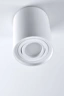   
                        
                        Точечный светильник POLUX (Польша) 46651    
                         в стиле Хай-тек.  
                        Тип источника света: светодиодная лампа, сменная.                         Форма: Цилиндр.                         Цвета плафонов и подвесок: Белый.                         Материал: Алюминий.                          фото 5