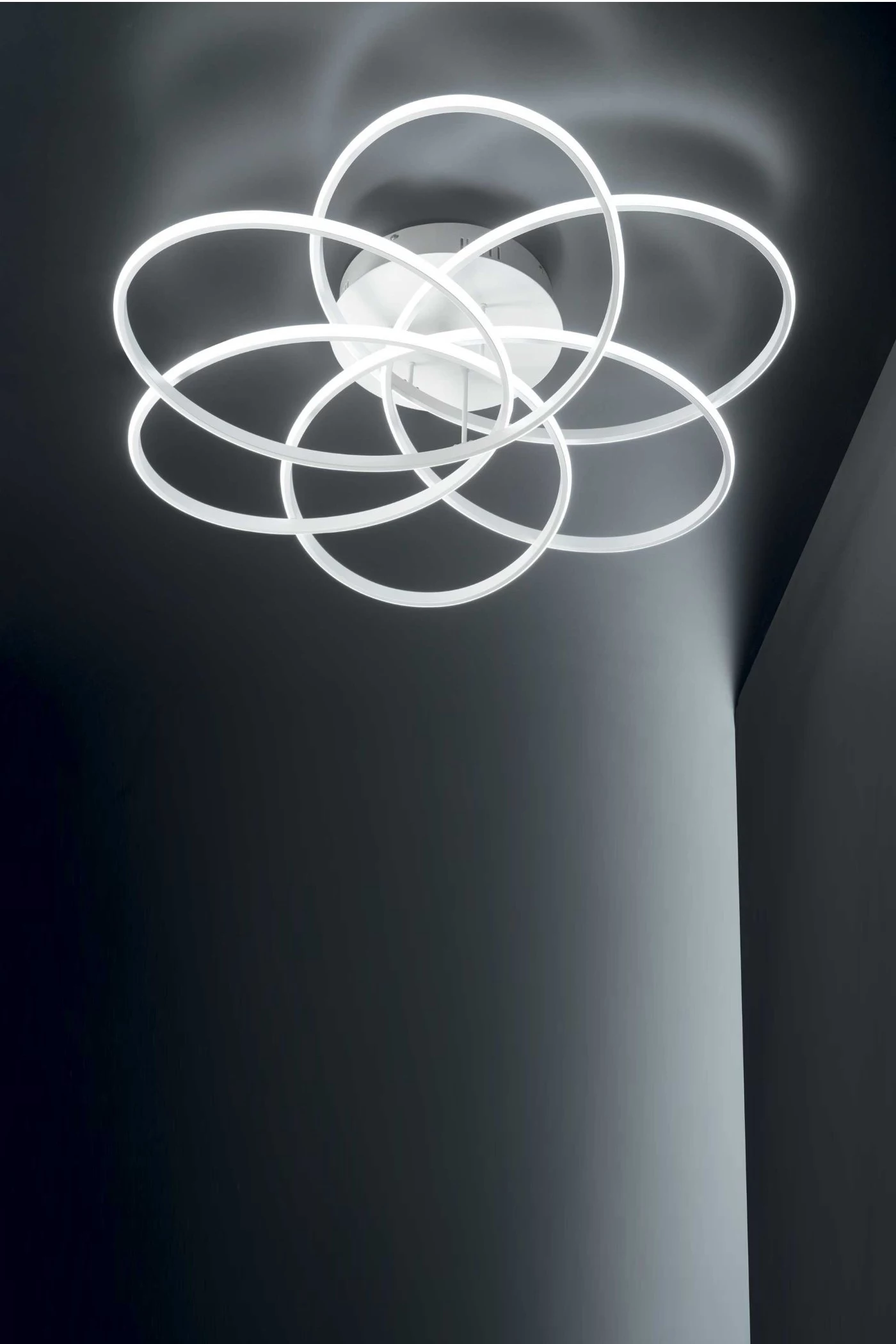   
                        
                        Люстра IDEAL LUX (Італія) 47469    
                         у стилі Флористика.  
                        Тип джерела світла: вбудований led-модуль, незмінний.                         Форма: Коло.                         Кольори плафонів і підвісок: Білий.                         Матеріал: Пластик.                          фото 2
