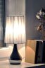   
                        Настільна лампа IDEAL LUX (Італія) 48473    
                         у стилі модерн, скандинавський.  
                        Тип джерела світла: cвітлодіодні led, енергозберігаючі, розжарювання.                                                 Кольори плафонів і підвісок: сірий.                         Матеріал: тканина.                          фото 3