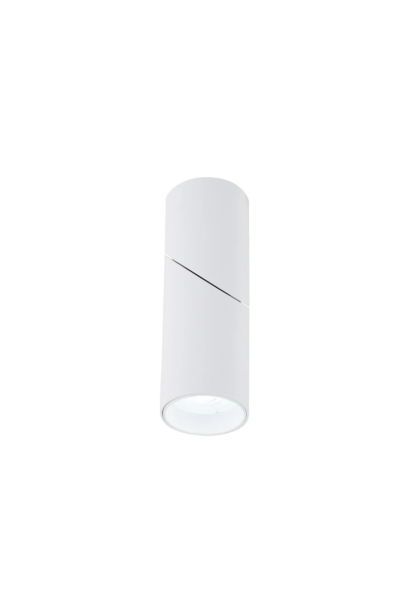   
                        Точковий світильник NOWODVORSKI (Польща) 50538    
                         у стилі хай-тек.  
                        Тип джерела світла: cвітлодіодні led, галогенні.                         Форма: коло.                         Кольори плафонів і підвісок: білий.                         Матеріал: алюміній.                          фото 4