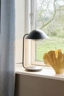   
                        
                        Настольная лампа NORDLUX (Дания) 52453    
                         в стиле Скандинавский, Лофт, Модерн.  
                        Тип источника света: светодиодная лампа, сменная.                                                 Цвета плафонов и подвесок: Черный.                         Материал: Пластик.                          фото 2