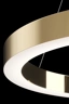   
                        Люстра VASMAR  (Украина) 53413    
                         в стиле лофт.  
                        Тип источника света: встроенные светодиоды led.                         Форма: круг.                         Цвета плафонов и подвесок: золото, белый.                         Материал: металл, пластик.                          фото 4