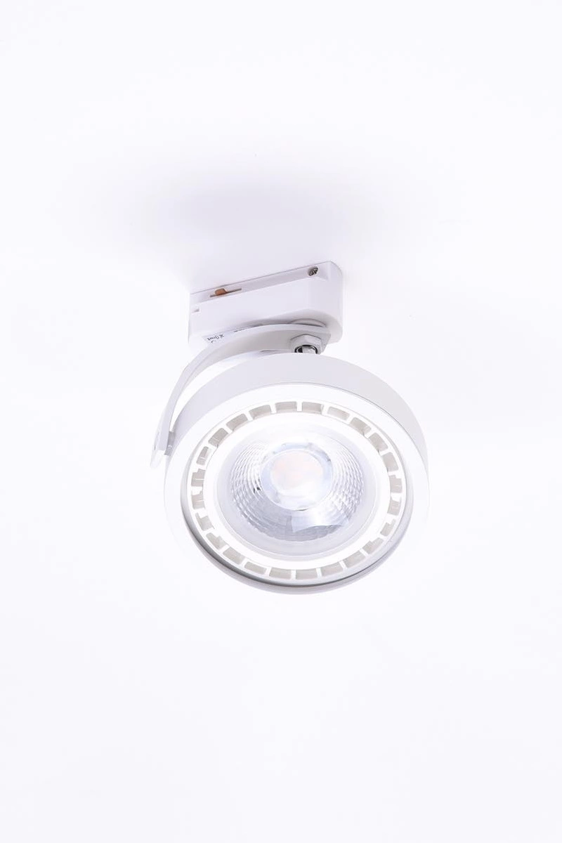  
                        
                        Трековий світильник AZZARDO (Польща) 53530    
                         у стилі Хай-тек.  
                        Тип джерела світла: світлодіодна лампа, змінна.                                                 Кольори плафонів і підвісок: Білий.                         Матеріал: Метал.                          фото 2