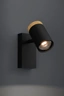   
                        
                        Бра EGLO (Австрія) 53750    
                         у стилі Лофт, Скандинавський.  
                        Тип джерела світла: світлодіодна лампа, змінна.                                                 Кольори плафонів і підвісок: Чорний, Коричневий.                         Матеріал: Сталь, Дерево.                          фото 2