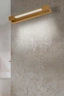   
                        
                        Подсветка для ванной AZZARDO (Польша) 54656    
                         в стиле Хай-тек.  
                        Тип источника света: встроенный led-модуль, несъемный.                                                 Цвета плафонов и подвесок: Золото, Белый.                         Материал: Алюминий, Акрил.                          фото 2