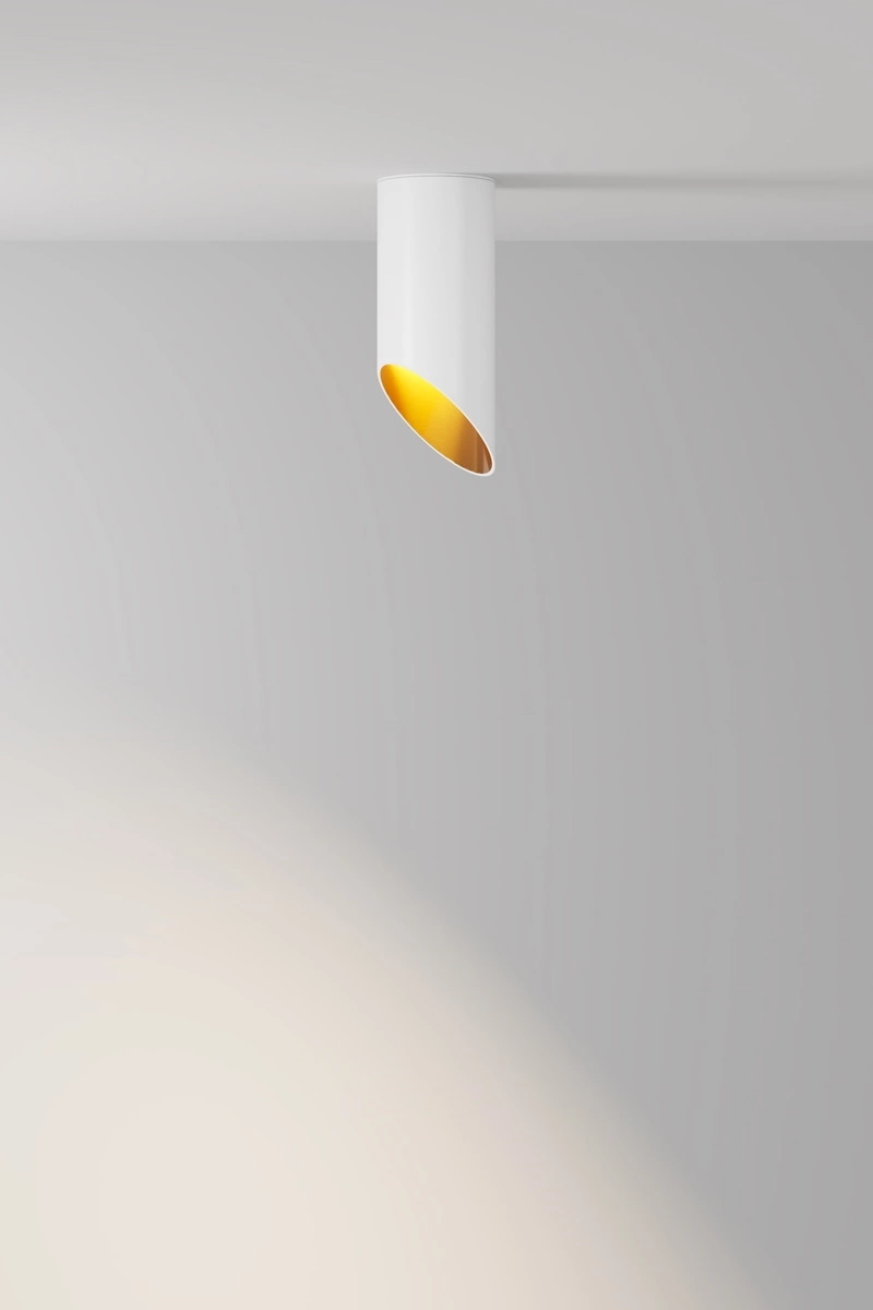   
                        
                        Точковий світильник VASMAR (Україна) 54974    
                         у стилі Модерн.  
                        Тип джерела світла: світлодіодна лампа, змінна.                         Форма: Циліндр.                         Кольори плафонів і підвісок: Білий, Золото.                         Матеріал: Метал.                          фото 4