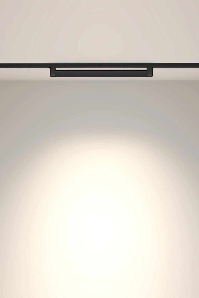   
                        
                        Трековый светильник VASMAR (Украина) 54996    
                         в стиле Хай-тек.  
                        Тип источника света: встроенный led-модуль, несъемный.                                                 Цвета плафонов и подвесок: Черный.                         Материал: Алюминий, Пластик.                          фото 6