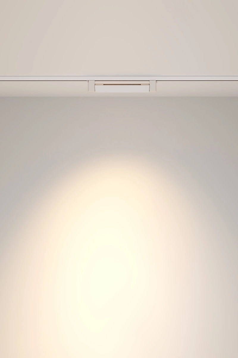   
                        
                        Трековый светильник VASMAR (Украина) 55112    
                         в стиле Хай-тек.  
                        Тип источника света: встроенный led-модуль, несъемный.                                                 Цвета плафонов и подвесок: Белый.                         Материал: Металл.                          фото 6