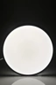   
                        
                        Светильник потолочный POLUX (Польша) 57028    
                         в стиле Модерн.  
                        Тип источника света: встроенный led-модуль, несъемный.                         Форма: Круг.                         Цвета плафонов и подвесок: Белый.                         Материал: Пластик.                          фото 4