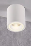   
                        
                        Точечный светильник POLUX (Польша) 57029    
                         в стиле Модерн.  
                        Тип источника света: светодиодная лампа, сменная.                         Форма: Цилиндр.                         Цвета плафонов и подвесок: Белый.                         Материал: Алюминий.                          фото 4