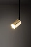   
                        
                        Трековый светильник TK LIGHTING (Польша) 57295    
                         в стиле Лофт.  
                        Тип источника света: светодиодная лампа, сменная.                                                 Цвета плафонов и подвесок: Золото.                         Материал: Металл.                          фото 2