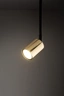   
                        
                        Трековий світильник TK LIGHTING (Польща) 57295    
                         У стилі Лофт.  
                        Тип джерела світла: світлодіодна лампа, змінна.                                                 Кольори плафонів і підвісок: Золото.                         Матеріал: Метал.                          фото 2