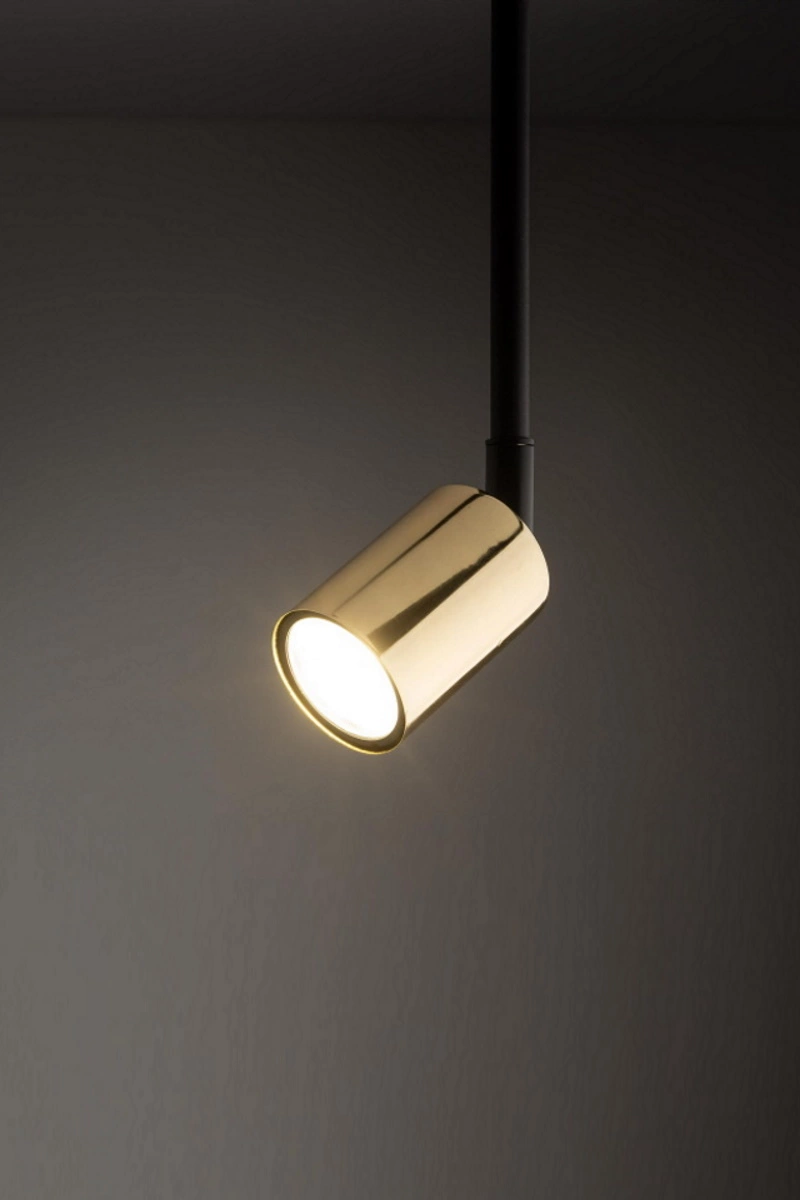   
                        
                        Трековий світильник TK LIGHTING (Польща) 57295    
                         У стилі Лофт.  
                        Тип джерела світла: світлодіодна лампа, змінна.                                                 Кольори плафонів і підвісок: Золото.                         Матеріал: Метал.                          фото 2
