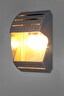   
                        Світильник вуличний NOWODVORSKI (Польща) 58202    
                         у стилі модерн.  
                        Тип джерела світла: cвітлодіодні led, енергозберігаючі, розжарювання.                                                 Кольори плафонів і підвісок: прозорий.                         Матеріал: пластик.                          фото 2