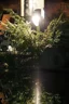   
                        Светильник уличный NOWODVORSKI  (Польша) 58203    
                         в стиле Модерн.  
                        Тип источника света: светодиодная лампа, сменная.                                                 Цвета плафонов и подвесок: Прозрачный.                         Материал: Пластик.                          фото 2