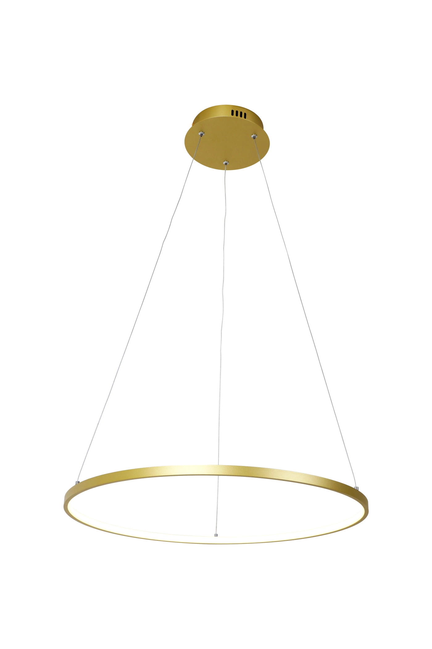   
                        
                        Люстра LAGUNA LIGHTING (Украина) 59501    
                         в стиле Хай-тек, Лофт.  
                        Тип источника света: встроенный led-модуль, несъемный.                         Форма: Круг.                         Цвета плафонов и подвесок: Золото, Белый.                         Материал: Алюминий, Силикон.                          фото 1