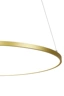   
                        
                        Люстра LAGUNA LIGHTING (Україна) 59501    
                         У стилі Хай-тек, Лофт.  
                        Тип джерела світла: вбудований led-модуль, незмінний.                         Форма: Коло.                         Кольори плафонів і підвісок: Золото, Білий.                         Матеріал: Алюміній, Силікон.                          фото 2