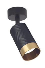 Точковий світильник GOLDLUX 59710