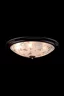   
                        Люстра MAYTONI (Німеччина) 61112    
                         у стилі Класика.  
                        Тип джерела світла: світлодіодна лампа, змінна.                         Форма: Коло.                         Кольори плафонів і підвісок: Білий, Малюнок.                         Матеріал: Скло.                          фото 2